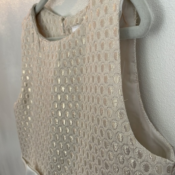 Gymboree Gold and Cream Brocade Dress Size 7 - Picture 3 of 10